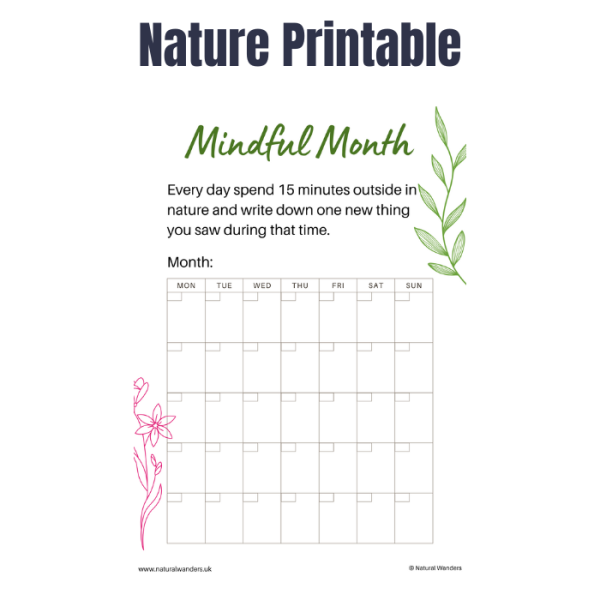 Nature Printable Bundle - Natural Wanders